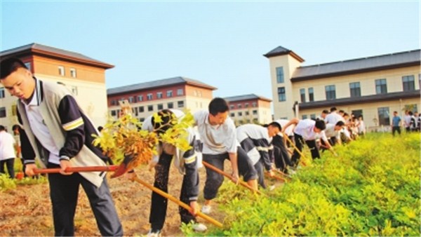 新時(shí)代 新征程 新偉業(yè)·豫見(jiàn)“三秋”丨校園喜迎“豐收