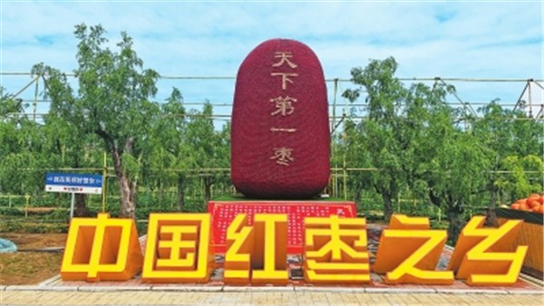 稻花香里說(shuō)豐年丨新鄭紅棗博物館：看一顆紅棗的“裂變”