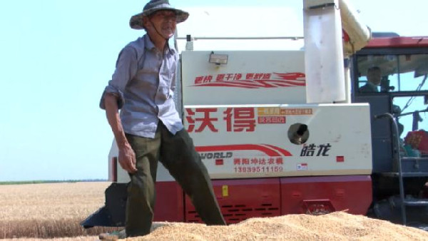 河南麥?zhǔn)招聢D景丨保證小麥顆粒歸倉(cāng)，舞陽(yáng)提供暖心服務(wù)