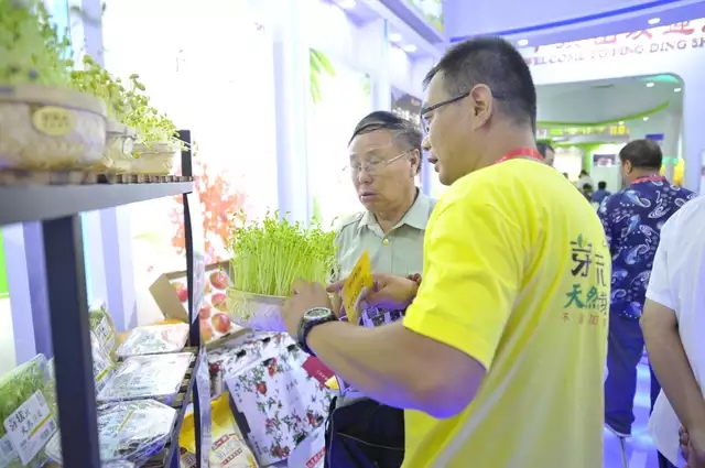 芽狀元亮相中國農洽會 玩轉古法豆芽的創(chuàng)新表達