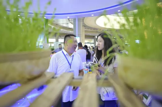 芽狀元亮相中國農洽會 玩轉古法豆芽的創(chuàng)新表達