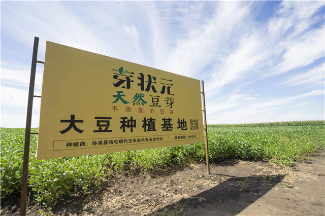 芽狀元天然豆芽李銀州：小豆芽的“中國夢(mèng)”